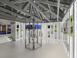 PHILIPP SCHENK-MISCHKE